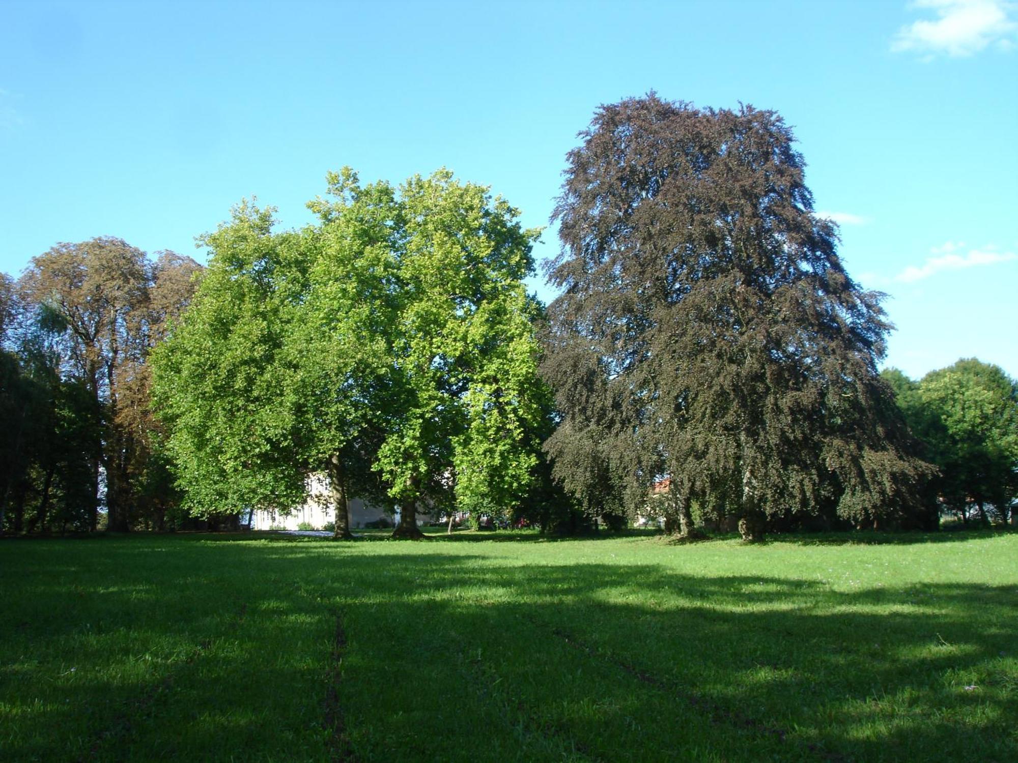 Maison D'Hotes Le Chateau De Puxe Exterior photo