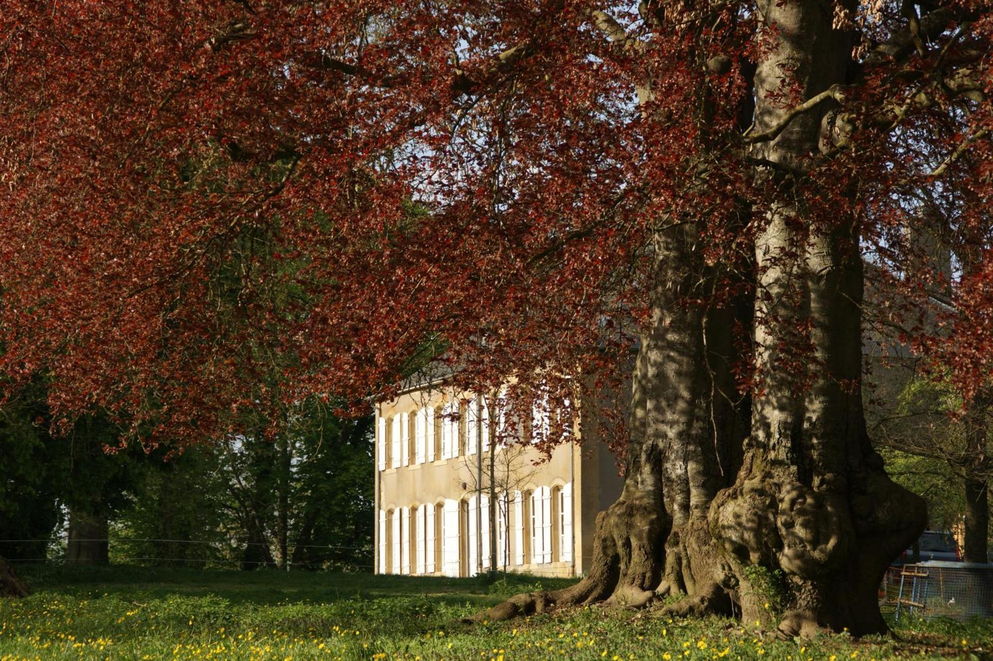 Maison D'Hotes Le Chateau De Puxe Exterior photo